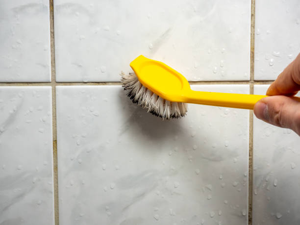 Best Mold Remediation  in Bethany, IL