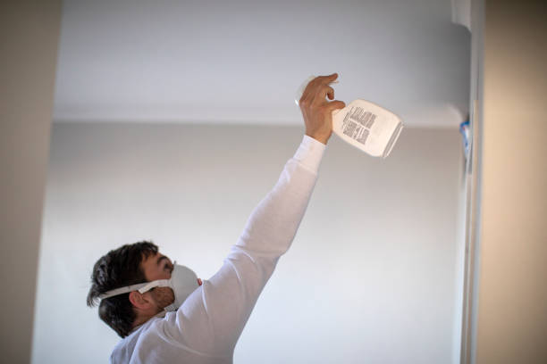 Best Certified Mold Removal  in Bethany, IL