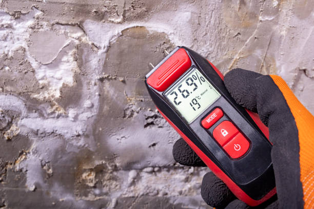 Best Mold Removal Company Near Me  in Bethany, IL