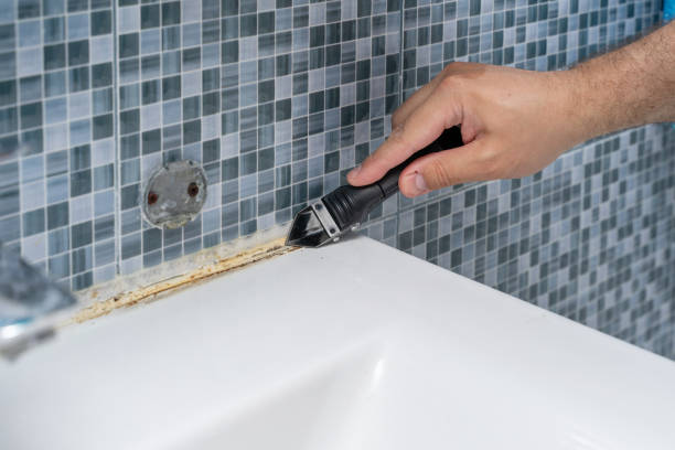 Best Residential Mold Removal  in Bethany, IL