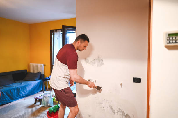 Best Attic Mold Removal  in Bethany, IL