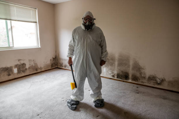 Best Crawl Space Mold Removal  in Bethany, IL